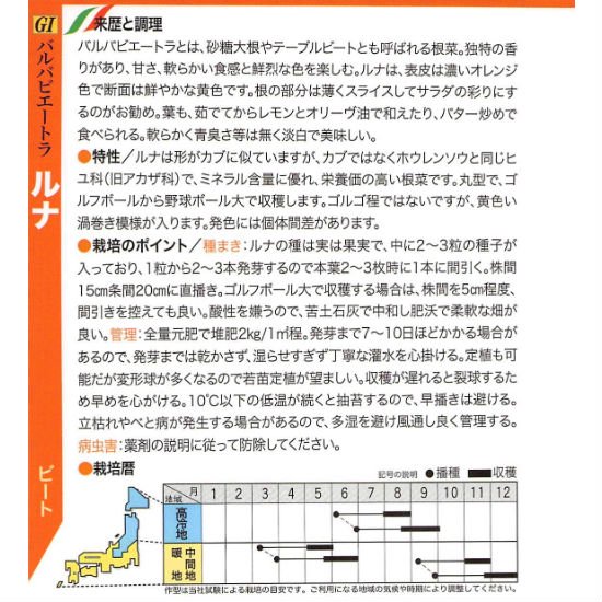 ビーツの種 ルナ 固定種 種の専門店 松尾農園 オンラインショップ