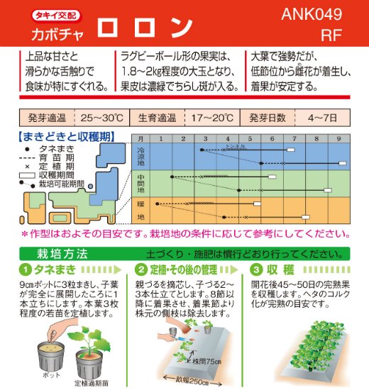 カボチャの種 ロロン F1 種の専門店 松尾農園 オンラインショップ