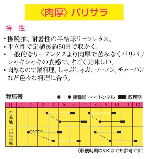 リーフレタスの種 パリサラ 固定種 種の専門店 松尾農園 オンラインショップ