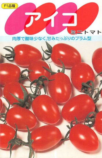 ミニトマトの種 アイコ F1 種の専門店 松尾農園 オンラインショップ