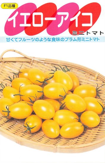 ミニトマトの種 イエローアイコ F1 種の専門店 松尾農園 オンラインショップ