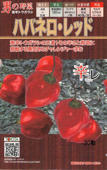 トウガラシの種 ハバネロ レッド 固定種 種の専門店 松尾農園 オンラインショップ