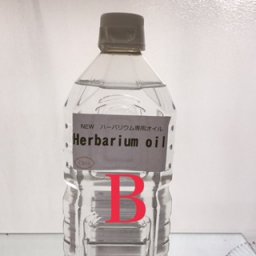 ハーバリウム ハーバリウ５00ｍl保存液 マダムクレア