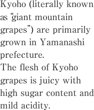 Kyoho (literally known 
as“giant mountain grapes”) are primarily grown in Yamanashi prefecture. The flesh of Kyoho grapes is juicy with high sugar content and mild acidity.
