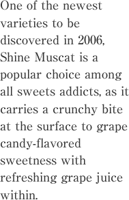 One of the newest varieties to be discovered in 2006, Shine Muscat is a popular choice among all sweets addicts, as it carries a crunchy bite at the surface to grape candy-flavored sweetness with refreshing grape juice within.