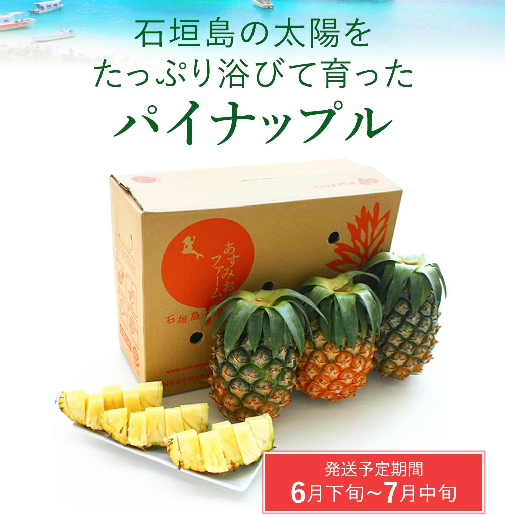 石垣島産の太陽をたっぷり浴びて育ったパイナップル