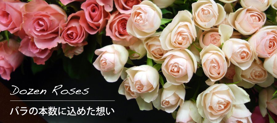 バラ花束- Dozen Roses