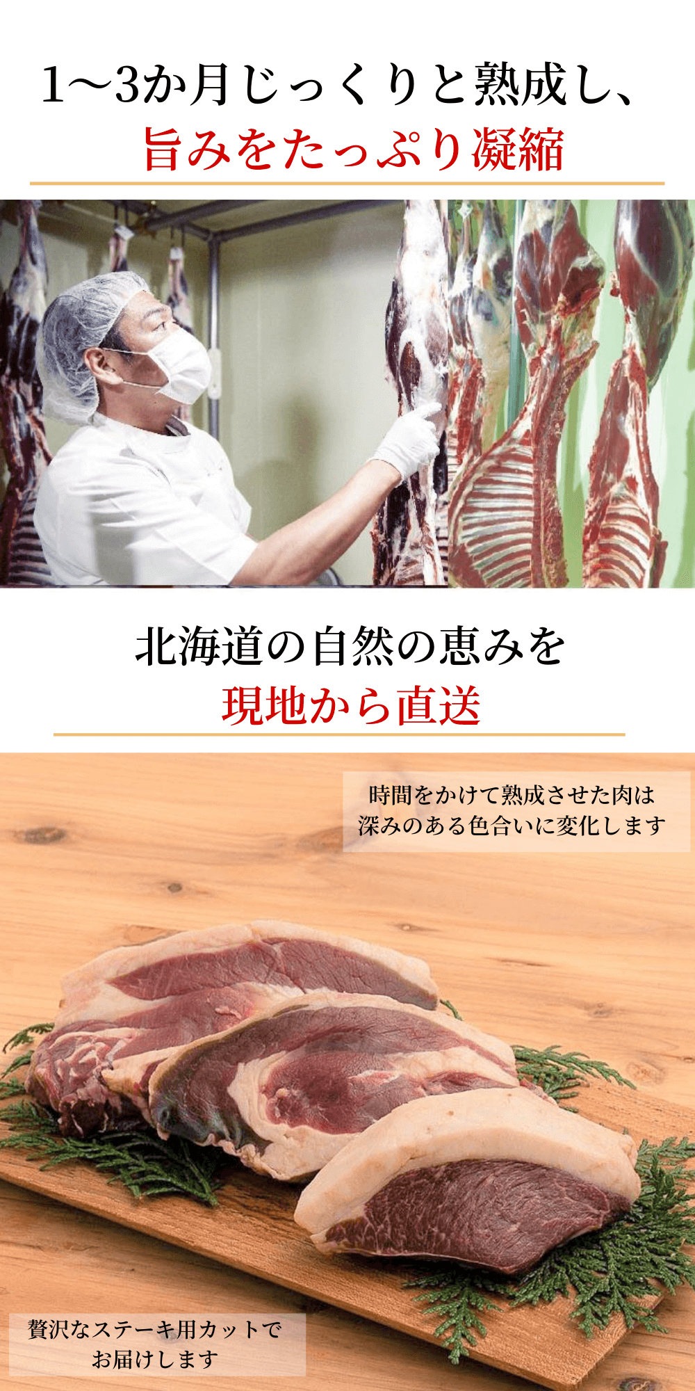 熟成ランイチ肉『北見エゾシカ』 - 北海道本格熟成エゾシカ肉専門店｜poro wacca（ポロワッカ）