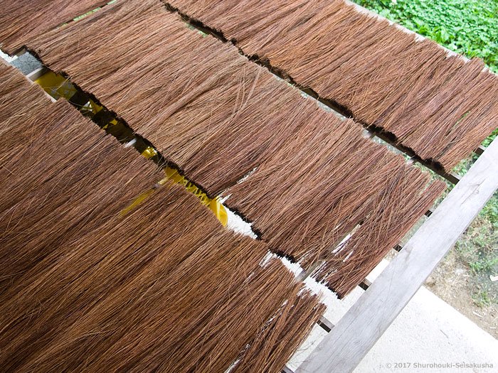 棕櫚繊維を裁断後に自然乾燥