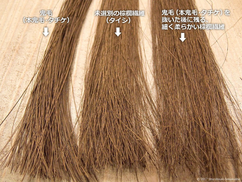 同量の棕櫚繊維・鬼毛の比較