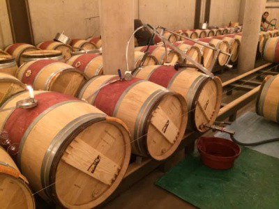 シャトーラトゥール訪問記 - フランスワイン輸入販売のカサブランカ