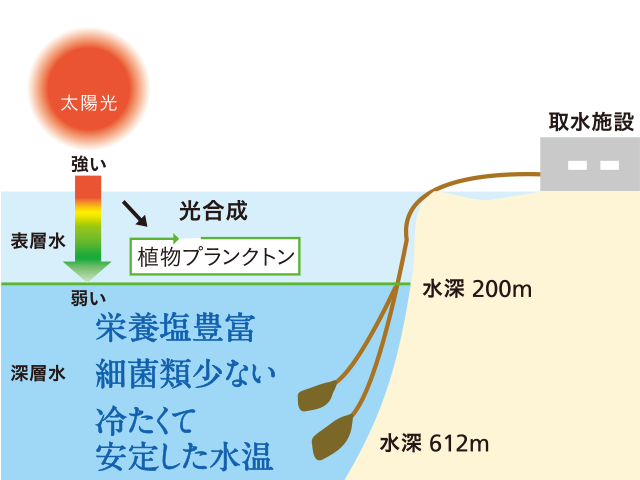 久米島海洋深層水100％使用