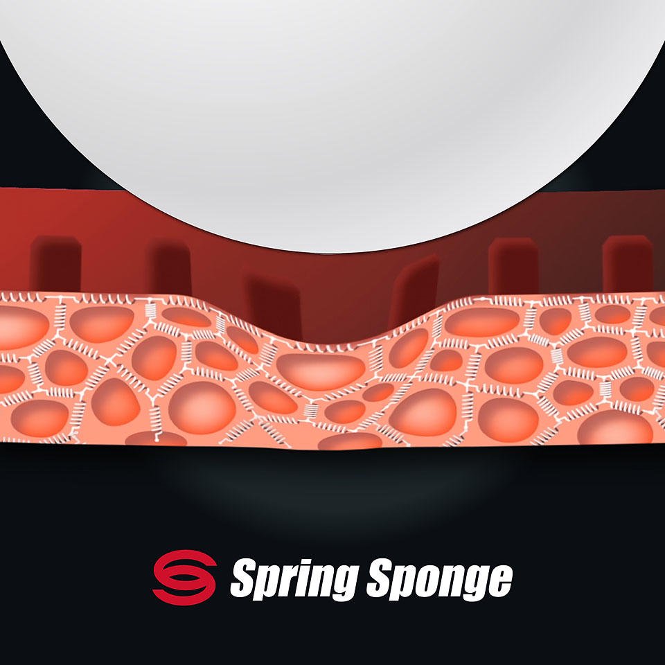 spring sponge