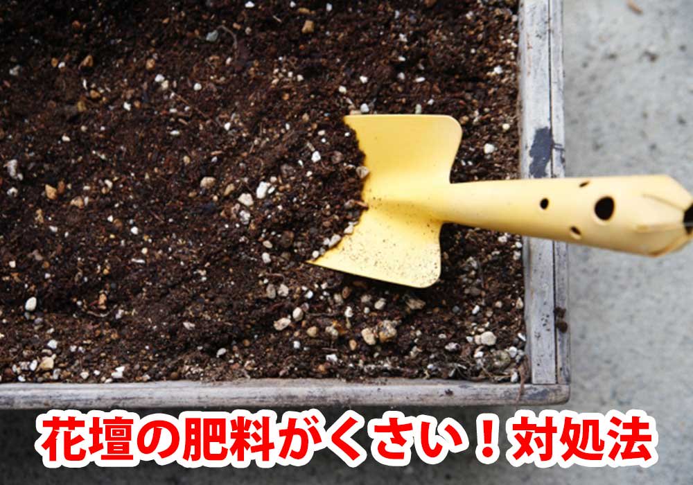 花壇の肥料がくさい！対処法