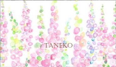 taneko