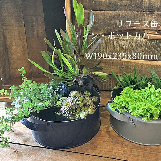 寄せ植え用 コンテナ プランター F19cm Kmn 114 Ten Tin Doors テン ティン ドア ズ