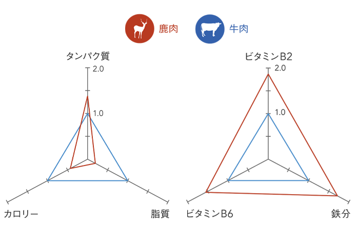 出典：文部科学省「日本食品標準成分表2015 年版（七訂）」