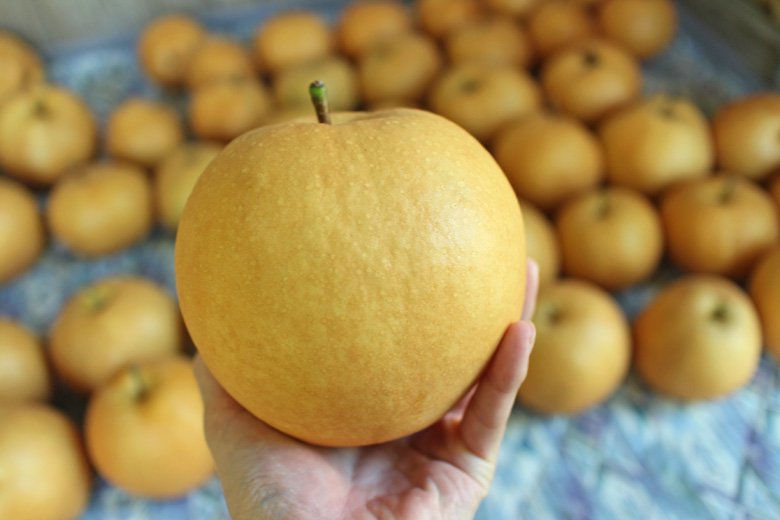 荒尾梨の歴史は100年以上を誇る 自然果樹園の成生梨