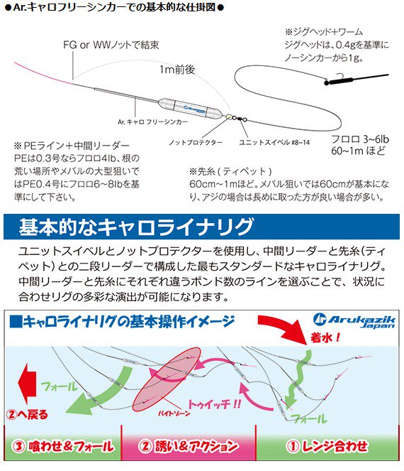 アルカジックジャパン Ar キャロ フリーシンカー ベーシック スターターセット 4 6g シンキング メール便可