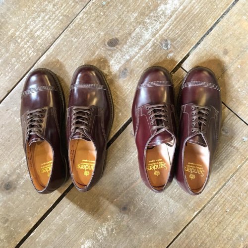 sanders derby shoes