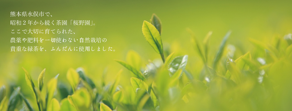 水俣市で昭和２年から続く茶園「桜野園」ここで大切に育てられた、農薬や肥料を一切使わない自然栽培の貴重な緑茶を、ふんだんに使用しました。