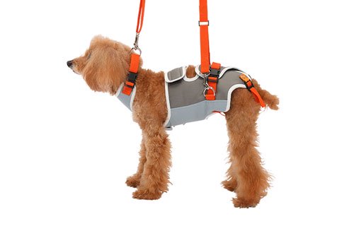 歩行補助ハーネス Lalawalk 小型犬 ダックス用サポーターパッド付きプリンセスの通販はペット用品 Com