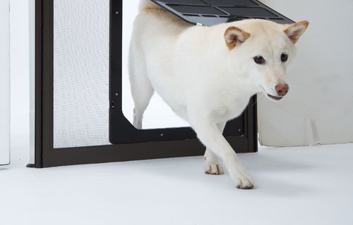 犬猫出入り口 網戸専用 ペット用品 Com