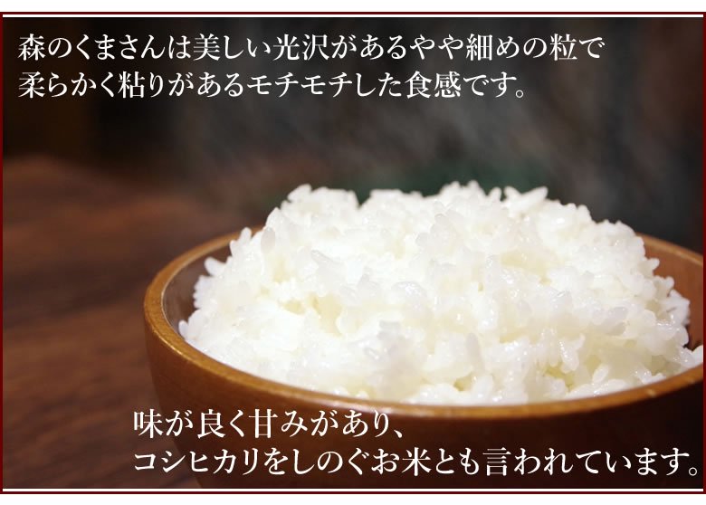森のくまさん 米 送料無料 玄米 30kg 30年度産新米 熊本県産 お米 こめ 