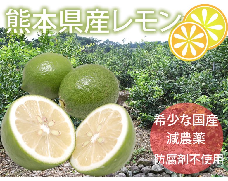 熊本県産レモン