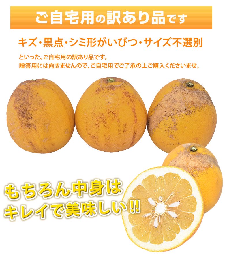 河内晩柑 みかん 訳あり 送料無料 和製グレープフルーツ 1.5kg S～3L 2 ...