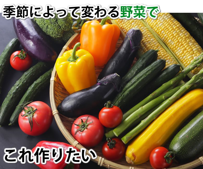 野菜セット 九州産 10～11品目 送料無料 お取り寄せ 詰め合わせ やさい ...