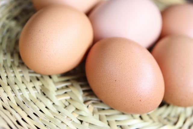 新鮮な卵を通販で購入 生卵の選び方とは 至福のたまご 黄身の余韻 オンラインショップ