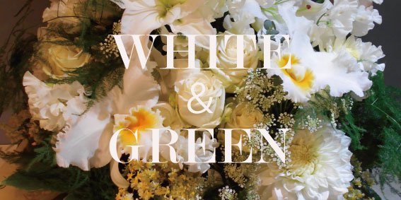 WHITE &GREEN