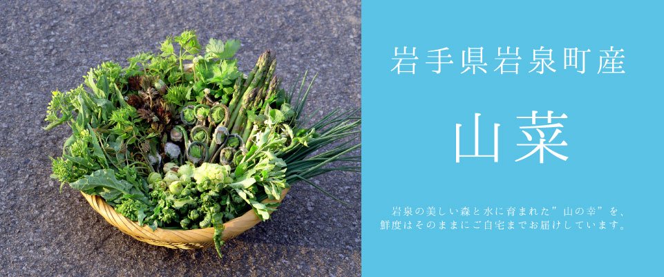 三上屋│国産松茸(まつたけ) 岩手県岩泉町の特産物、いわいずみ産松茸