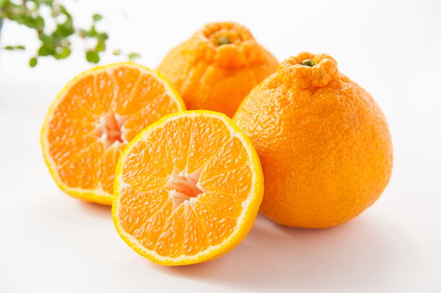 大将季(だいまさき)の通販・お取り寄せ。大将季は鹿児島県産のデコポンです。お試しサイズからお得な大容量、ギフトに最適な贈答用まで送料無料、産地直送でお届け。デコポンの食べ方やむき方、旬の時期やスイーツのアレンジなどをご紹介