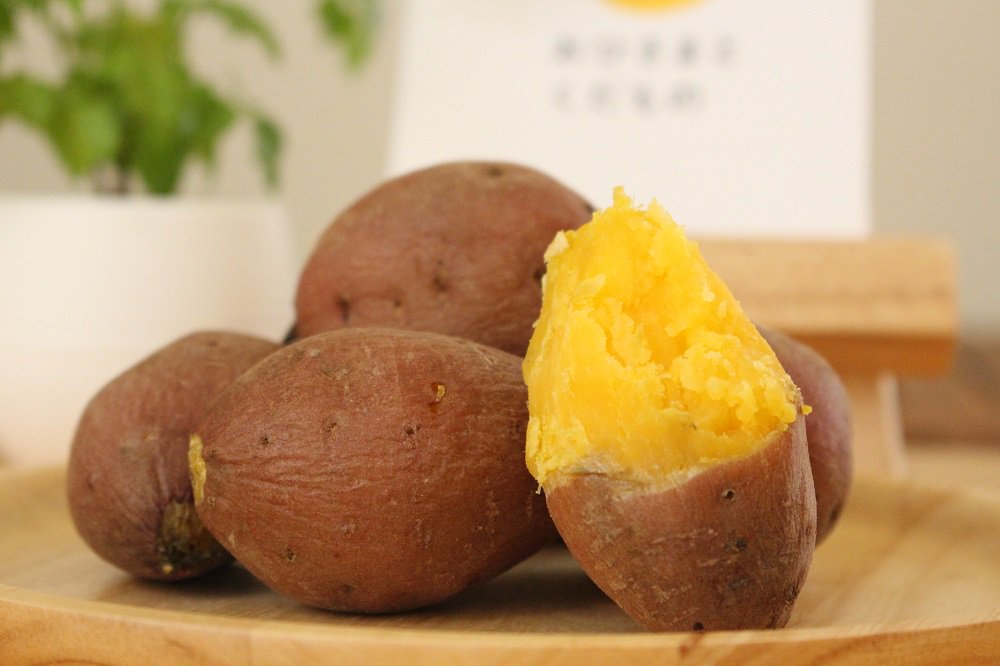 鹿児島県種子島産の安納芋 小さいサイズは時短で簡単に焼き芋にできて、おやつにピッタリ