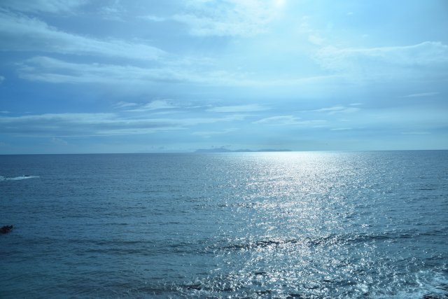 鹿児島県産の日向夏は南国の海と太陽で育てられます。
