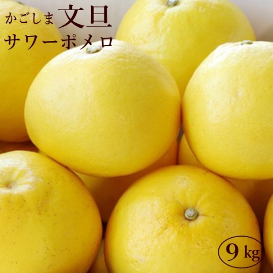 サワーポメロ 9kg 送料無料 鹿児島産のみかん 柑橘 ぶどう さつまいも通販のおひさまとくだもの