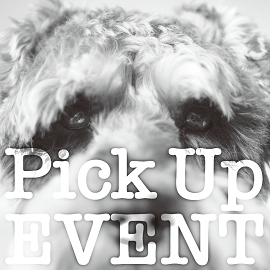 Pick Up Event