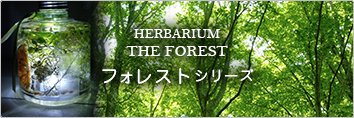 ハーバリウムTHE FOREST
