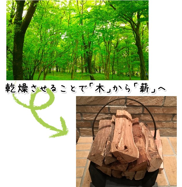 乾燥させることで木から薪へ