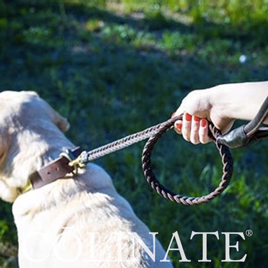 ゴールデンレトリバーのリード/ 犬用品・犬グッズ・犬訓練用具・犬用品通販