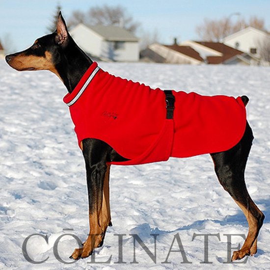 ドーベルマンの服/ 犬用品・犬グッズ・犬訓練用具・犬用品通販
