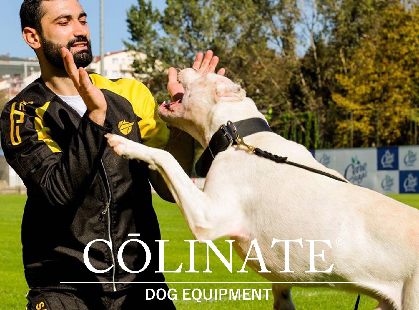 ドゴ・アルヘンティーノの犬用品・犬グッズ・犬訓練用具・犬用品通販