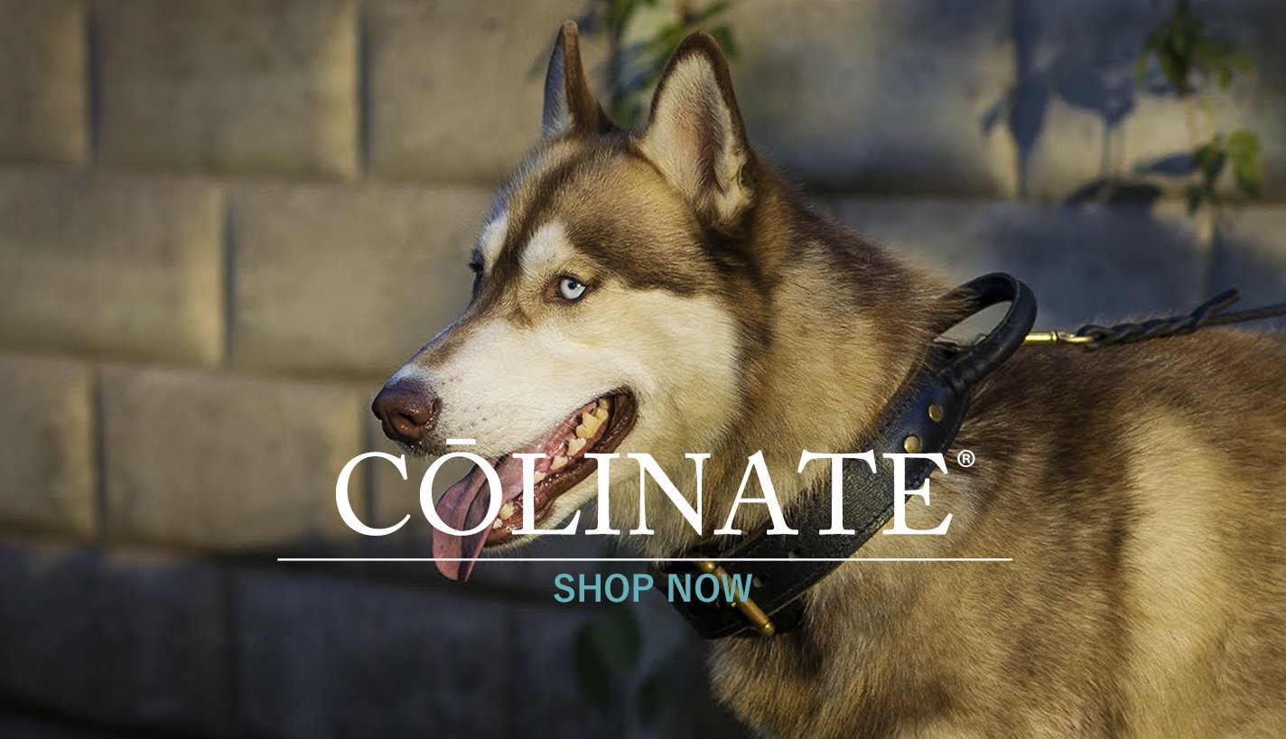 シベリアンハスキーの犬用品・犬グッズ・犬訓練用具・犬用品通販