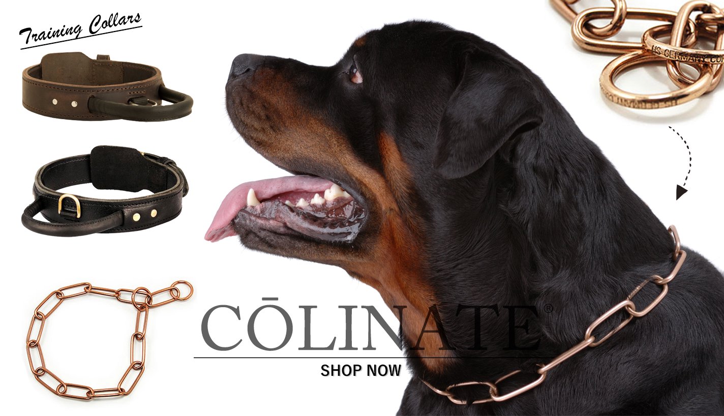 ロットワイラーの犬用品・犬グッズ・犬訓練用具・犬用品通販