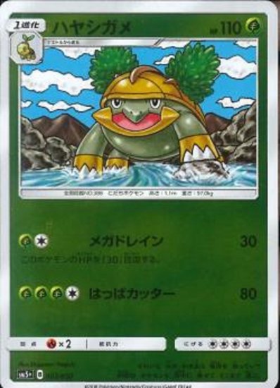 ポケモンカードゲーム ハヤシガメ Sm5 秋葉原チェルモ通販 ポケモンカード通販