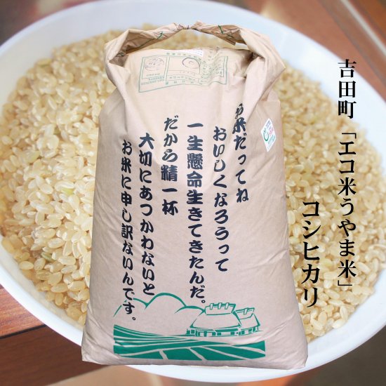 令和2年度 富山県産コシヒカリ一級米 玄米 30kg - 食品