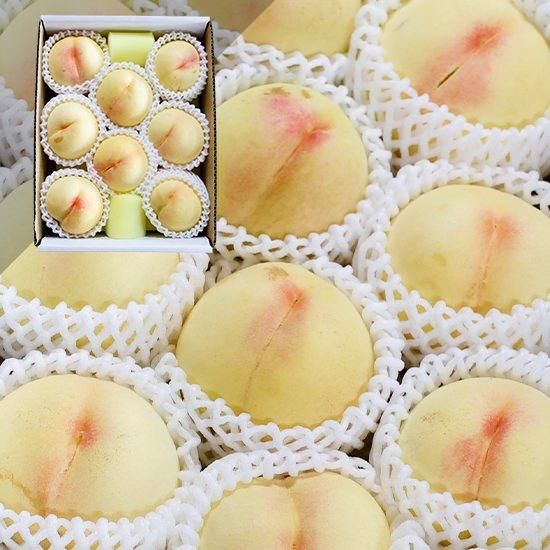 ご家庭用 ワケあり品 清水白桃 約2キロ 白箱 岡山白桃工房 桃茂実苑