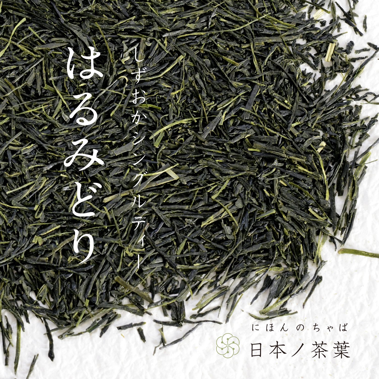 日本ノ茶葉しずおかシングルティー「はるみどり」浅蒸し｜おいしい日本茶研究所